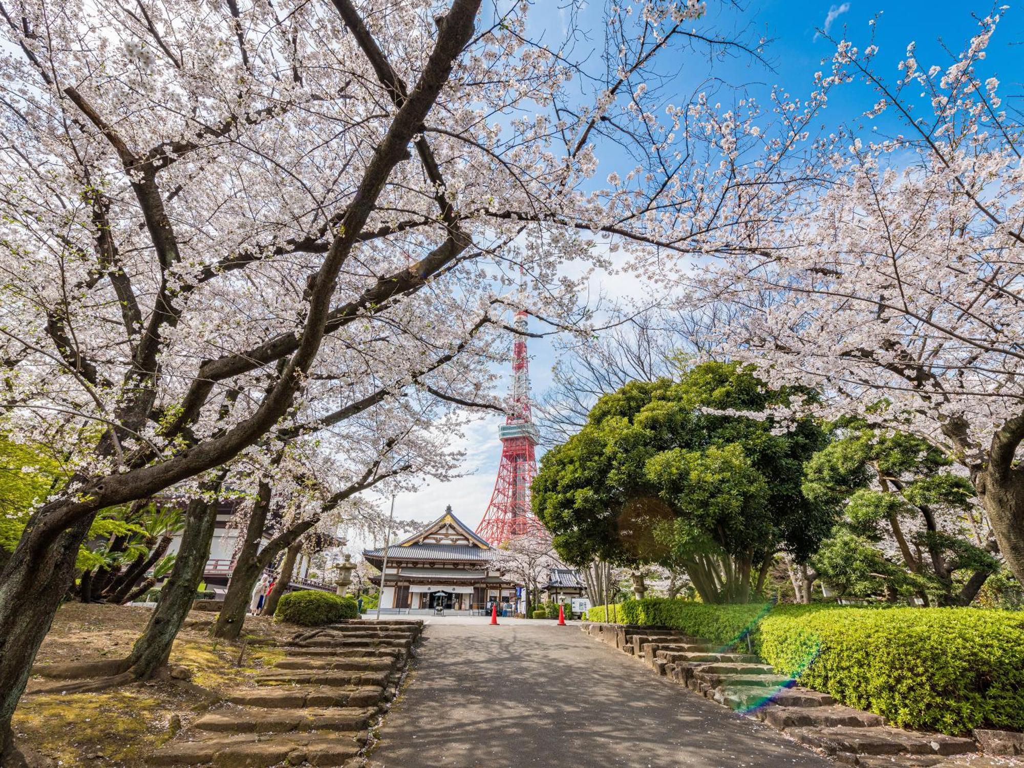 Hotel Illi Rom Hamamatsucho Präfektur Tokio Exterior foto